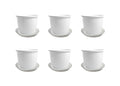 GoHooked white plastic flower pots with trays, pack of 6, 8-inch diameter, ideal for indoor/outdoor gardening.