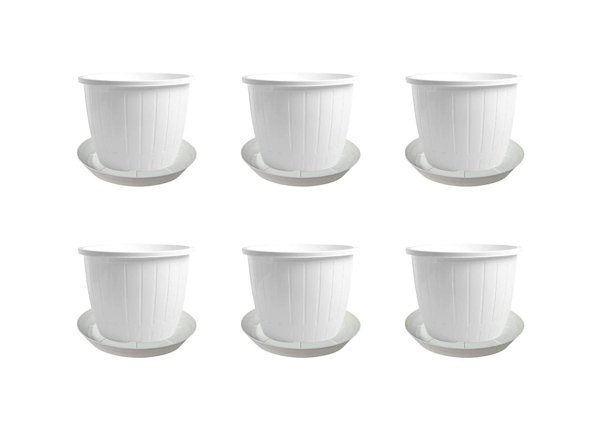 GoHooked white plastic flower pots with trays, pack of 6, 8-inch diameter, ideal for indoor/outdoor gardening.
