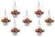 Go Hooked Flower Pots | Plastic | Hanging Pot | White | Pot Diameter-7.1 Inch | Pot Height-4.8 Inch | Pot Thickness-3 mm | Chain Length-13 inch Approx | 7 Pieces