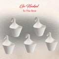 GoHooked white plastic hanging planters, set of 5, with hook for railings. Ideal for vertical gardens.