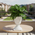 GoHooked white plastic planter with pedestal stand, featuring a diamond-cut design and a monstera plant.