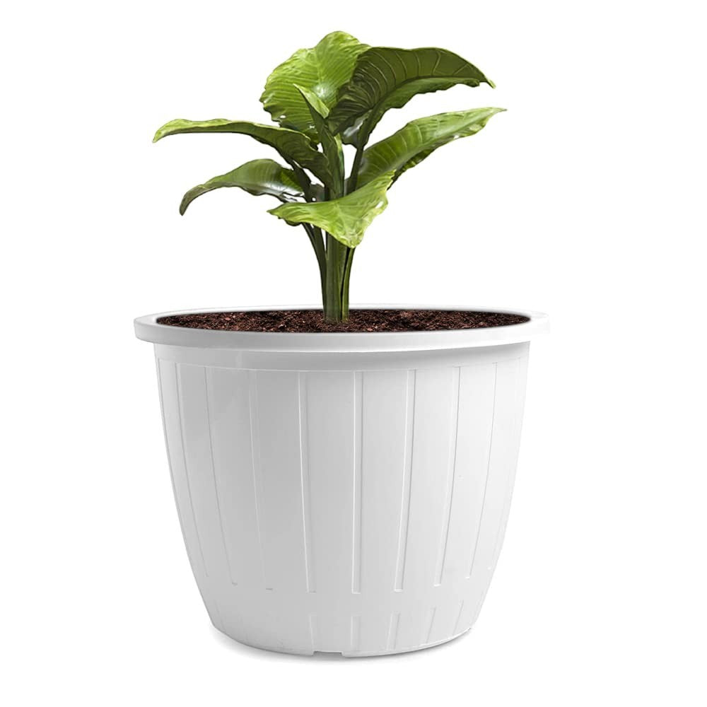 GoHooked 10-inch white plastic planter pot with vertical ribbed texture, holding a green plant.