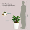 Go Hooked white ribbed plastic planter pot, 14 inch, with a plant inside, shown next to a silhouette of a person for scale.