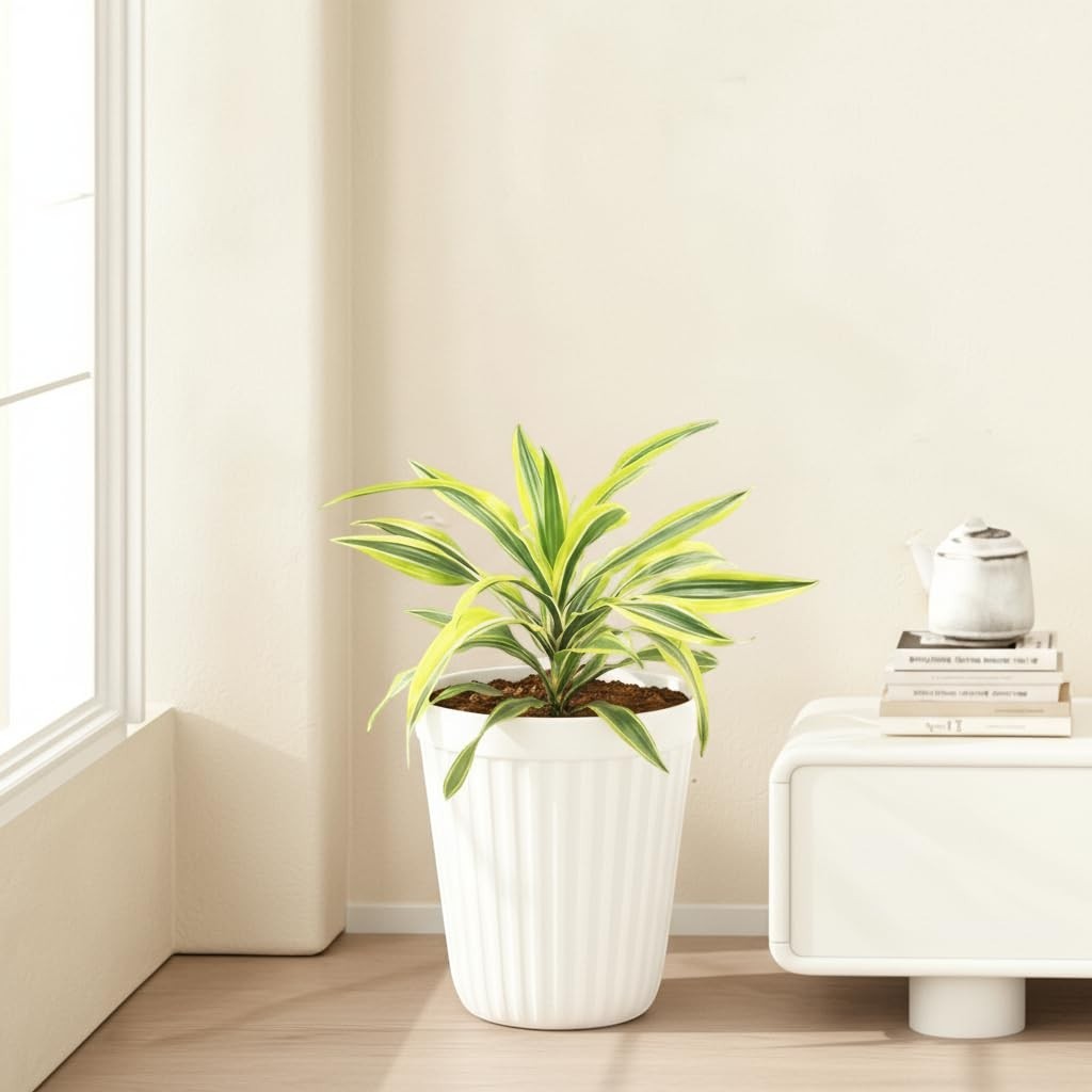 Go Hooked white 14-inch ribbed plastic planter pot with a green and yellow variegated plant inside, placed on a wooden floor next to a white cabinet.