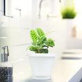 GoHooked white plastic planter pot with saucer, 6 inch, modern design for indoor/outdoor plants.