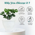 GoHooked white plastic planter pot with embossed floral design and saucer, 6 inch Victor model.