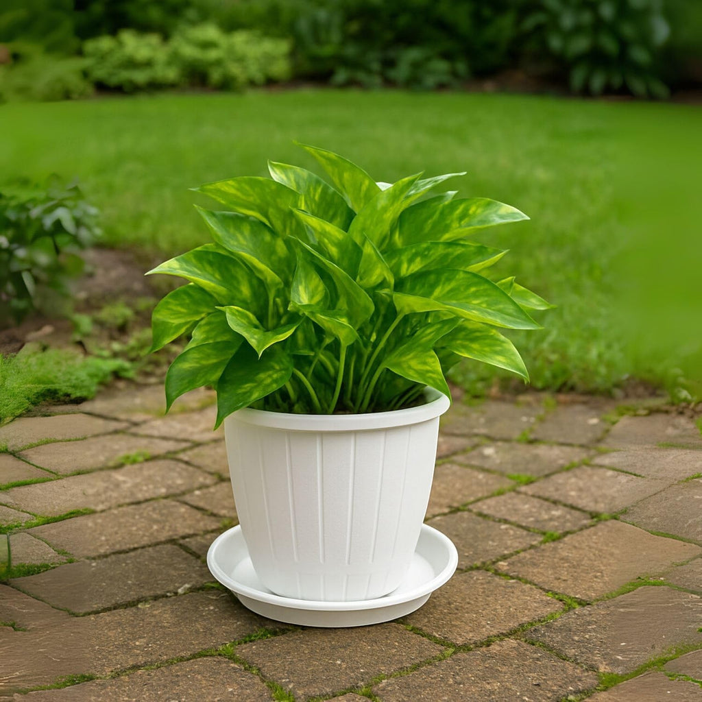 GoHooked white plastic planter pot with saucer, 8 inch, fluted design, for indoor/outdoor gardening.