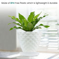 Go Hooked white plastic planter pot with diamond pattern and saucer, holding a green plant indoors.