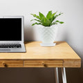 Go Hooked white diamond-patterned plastic planter pot with saucer on a wooden desk next to a laptop.