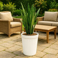 Go Hooked white ribbed plastic planter pot with a snake plant on a patio.