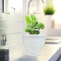 Go Hooked white plastic planter pot with embossed floral design and matching saucer, holding a green plant.