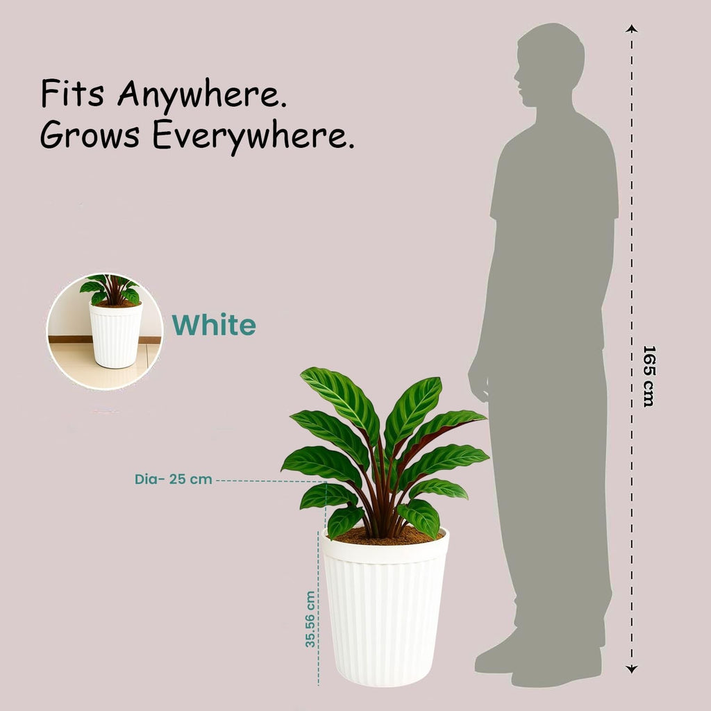 GoHooked white ribbed plastic planter pot, 14 inch, modern style, for indoor/outdoor use.