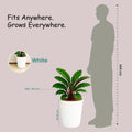GoHooked white plastic planter pot with ribbed design, 14 inch diameter, 35.56 cm height. Shown next to a 165 cm silhouette.