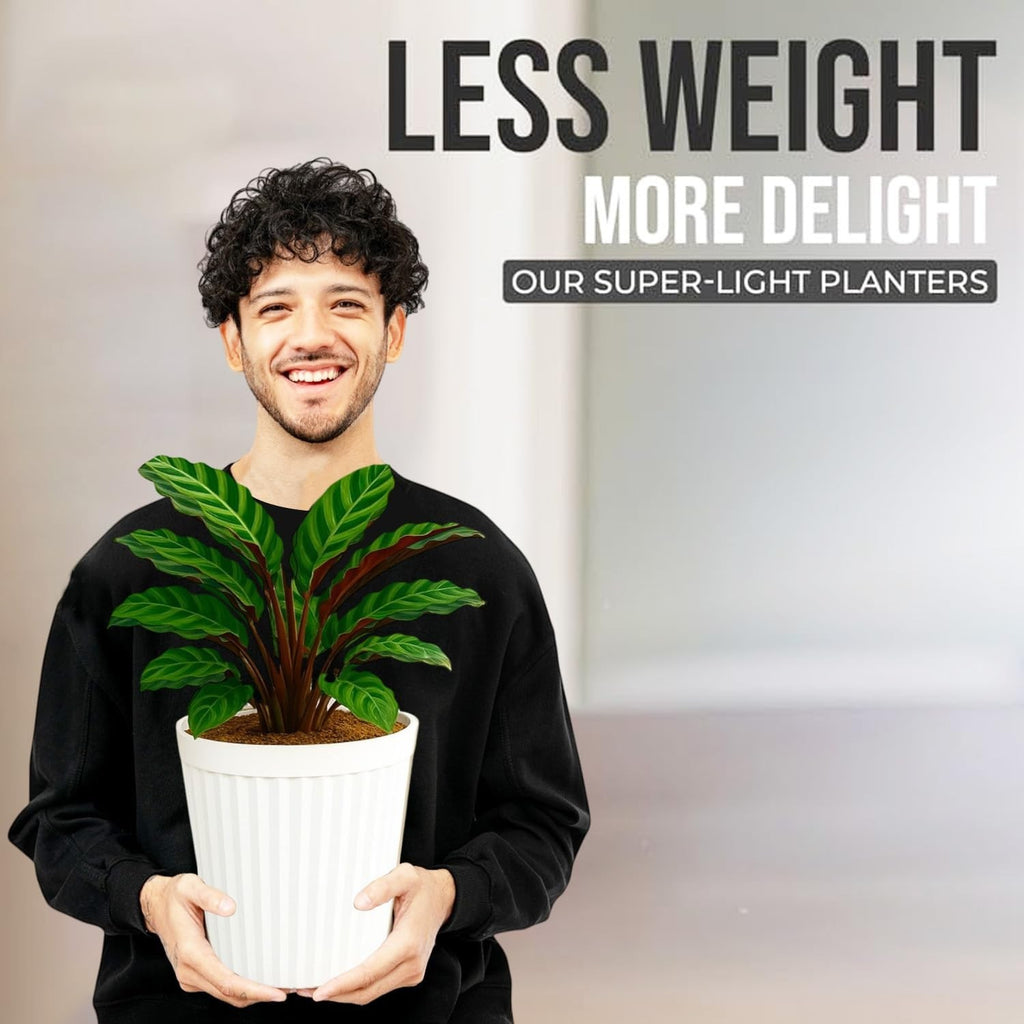 GoHooked white ribbed plastic planter pot with a plant, held by a smiling man.