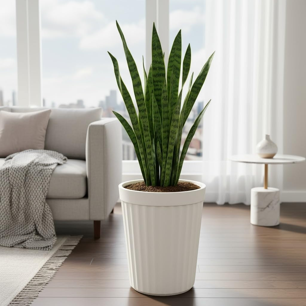 GoHooked white ribbed plastic planter pot with a snake plant, perfect for indoor or outdoor use.