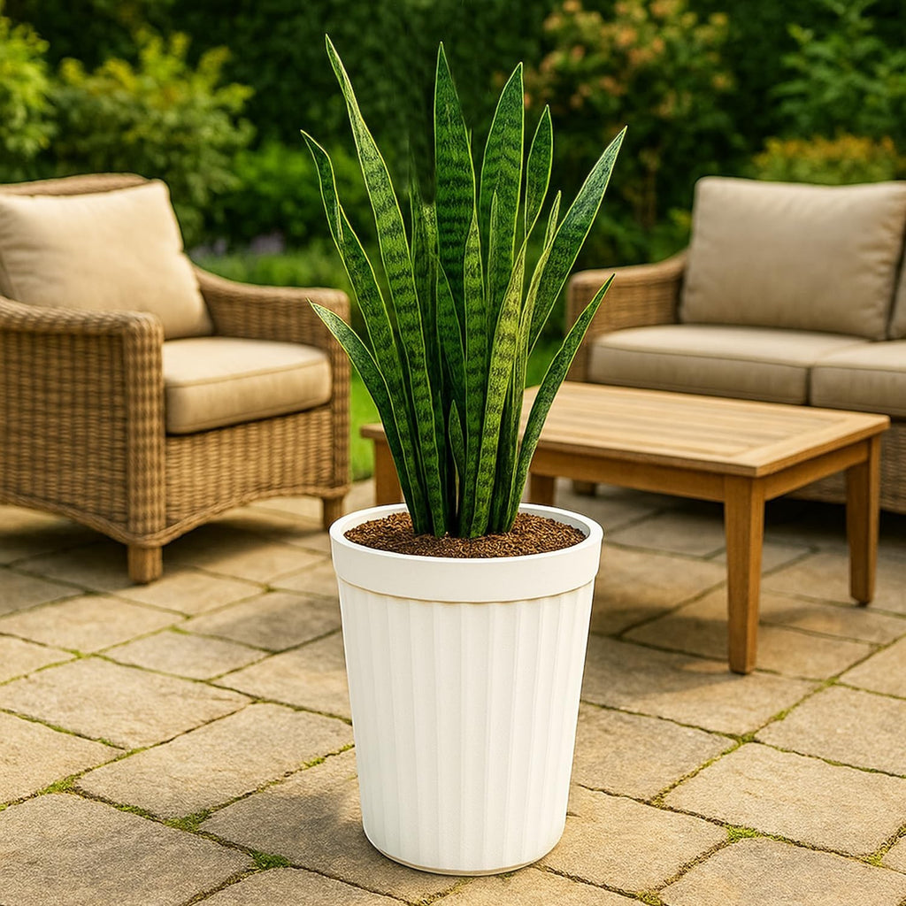 GoHooked white ribbed plastic planter pot with a snake plant, perfect for indoor or outdoor use.