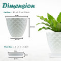 Go Hooked white diamond-patterned plastic planter pot with saucer, 6-inch size, ideal for indoor/outdoor plants.