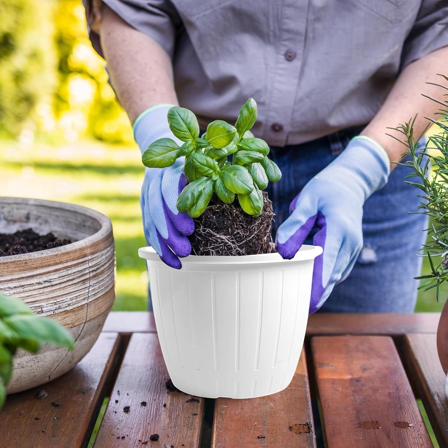 GoHooked white plastic planter pot with tray, 10 inch, for indoor/outdoor gardening.
