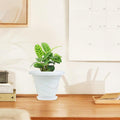 Go Hooked white plastic planter pot with saucer, modern twister design, 6 inch size, for indoor or outdoor plants.