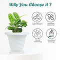 GoHooked white plastic planter pot with saucer, modern twister design, 6 inch size, for indoor/outdoor plants.