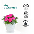 GoHooked white plastic planter pot with saucer, featuring a modern twister design and pink flowers. Suitable for indoor/outdoor use.