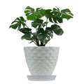 GoHooked white geometric plastic planter pot with saucer, 6 inch size, for indoor or outdoor plants.