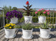 GoHooked 10 Inch White Plastic Planter Pot With Saucer