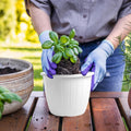 GoHooked white plastic planter pot with tray, 10-inch, for indoor/outdoor gardening.