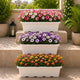 Go Hooked Jupiter Window Planter Pot Pack of 3 | 17 Inch White Plastic Rectangular Flower Planter for Indoor Outdoor Plants Balcony Garden Home Décor | Decorative Plant Container L43 x W22 x H18 Cm