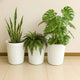 Go Hooked Plastic Planter Pot for Indoor Outdoor Plants 14 Inch Flower Pot for Home Decor, Balcony, Garden, Office – Decorative Plant Container Lightweight & Durable (Pack of 3)