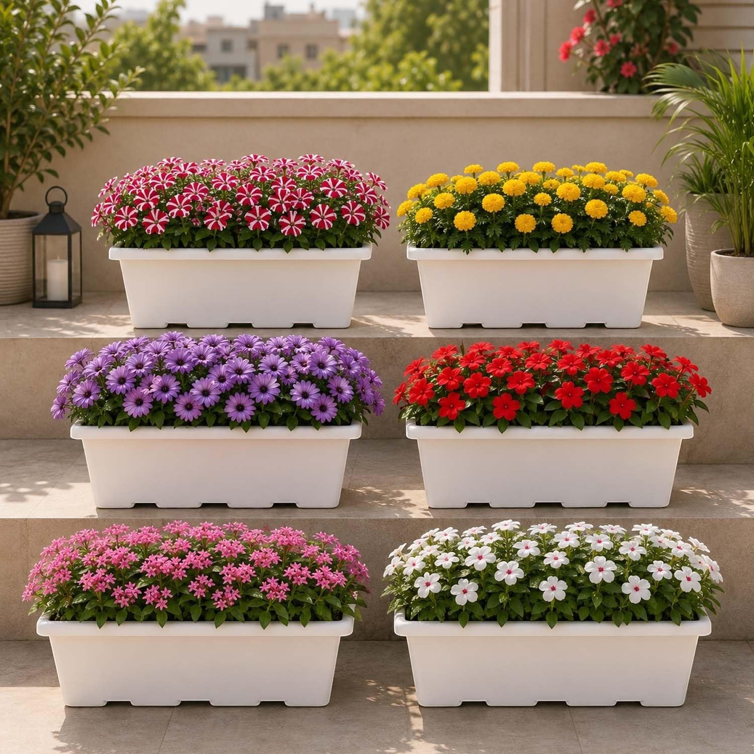 GoHooked white plastic rectangular window planter pots filled with red, white, yellow, purple, and pink flowers on outdoor steps.