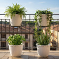 GoHooked white plastic planter pots with fluted design, holding fern, ivy, basil, and aloe plants on a balcony.