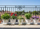 GoHooked 5 Pack White Plastic Planter Pots With Saucers
