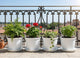 GoHooked Lightweight And Portable Plant Pot