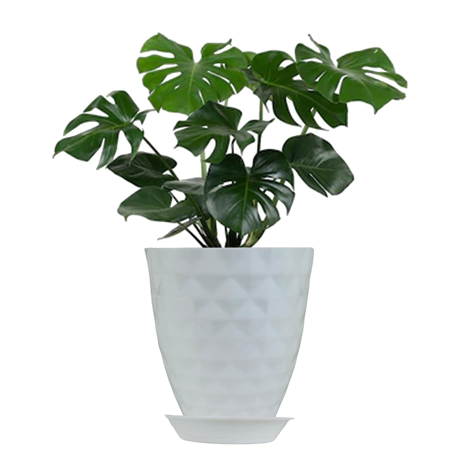 GoHooked white geometric patterned plastic planter with matching drip tray, perfect for indoor plants.