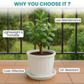 GoHooked white 10-inch plastic planter with matching drip tray, ideal for indoor/outdoor gardening.