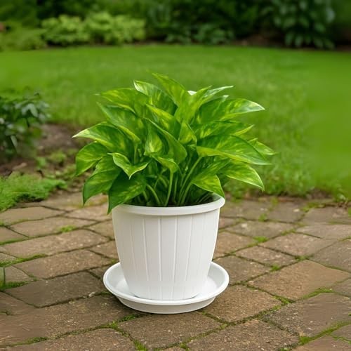Go Hooked white 10-inch plastic planter with matching drip tray, featuring a fluted design. Ideal for indoor or outdoor gardening.