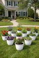 Go Hooked Pot for Gardening | Indoor/Outdoor Planter | Flower Pots | White | 10 INCH | Pack of 12 | Plastic | Planters