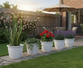 Go Hooked white plastic planters with fluted design, holding snake plant, ivy, red flowers, and lavender on a patio.