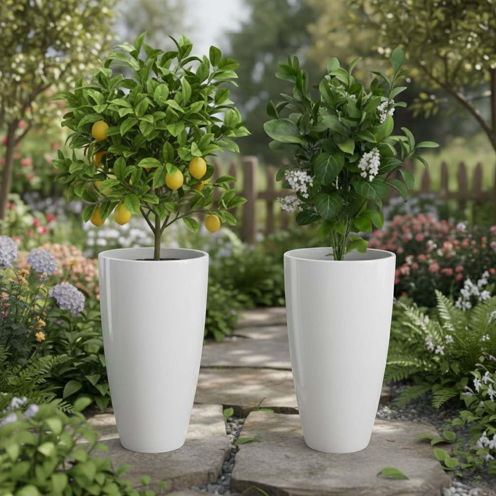 GoHooked white tall tapered plastic planters with a lemon tree and a flowering plant in a garden setting.