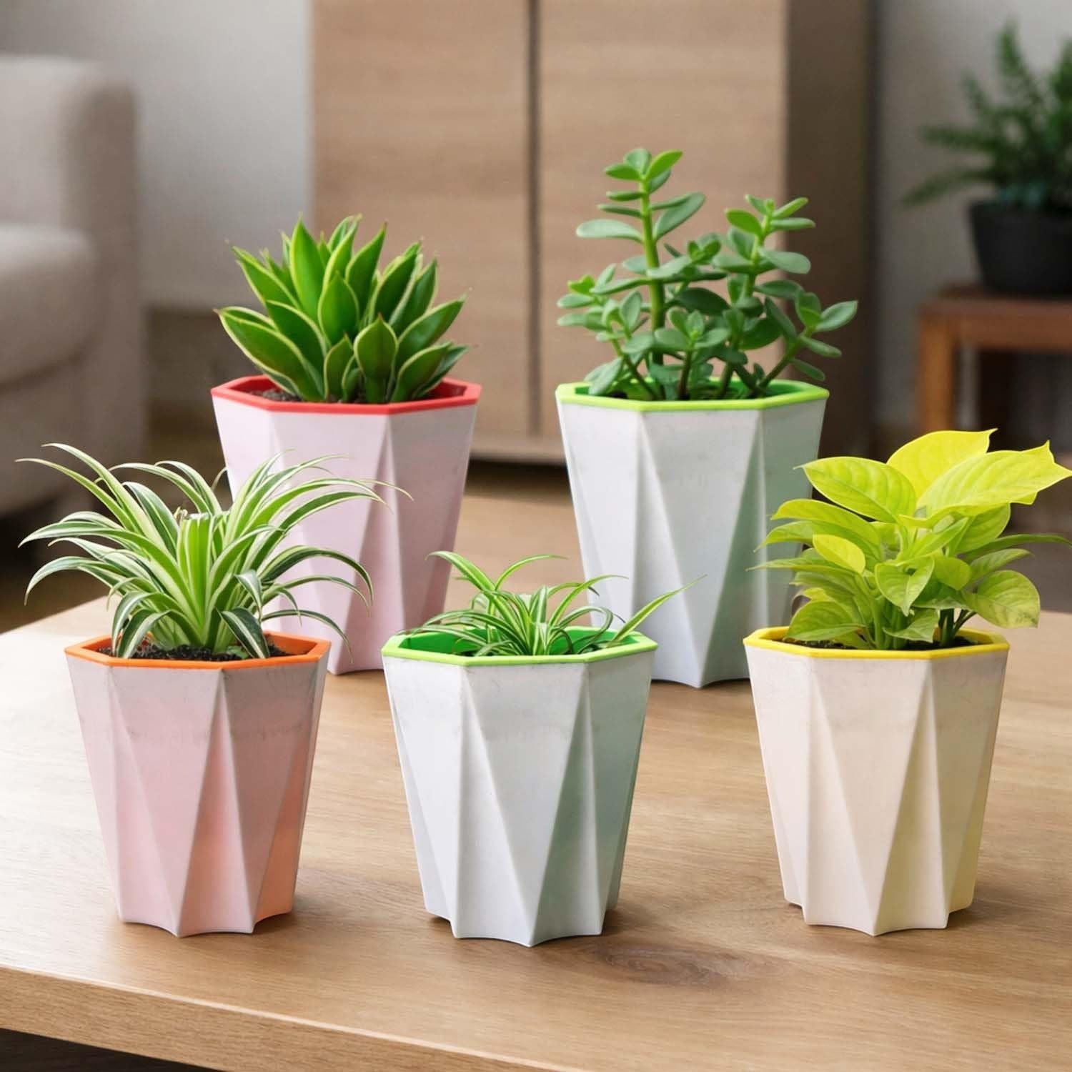 GoHooked set of 7 white geometric plastic flower pots with colorful rims, holding small indoor plants on a wooden table.