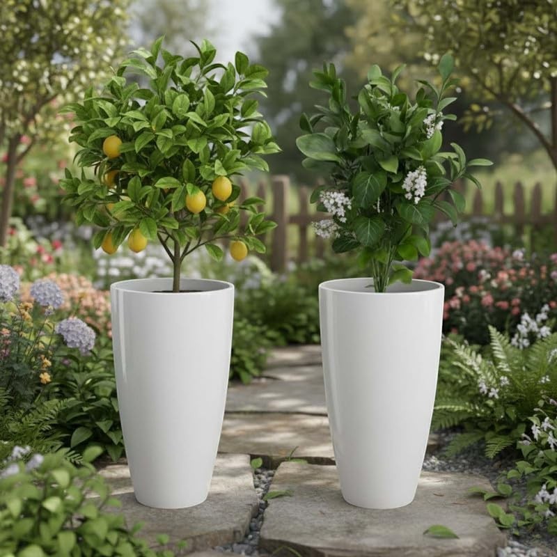 Go Hooked pack of 2 tall white plastic planters with lemon tree and flowering plant in a garden setting.