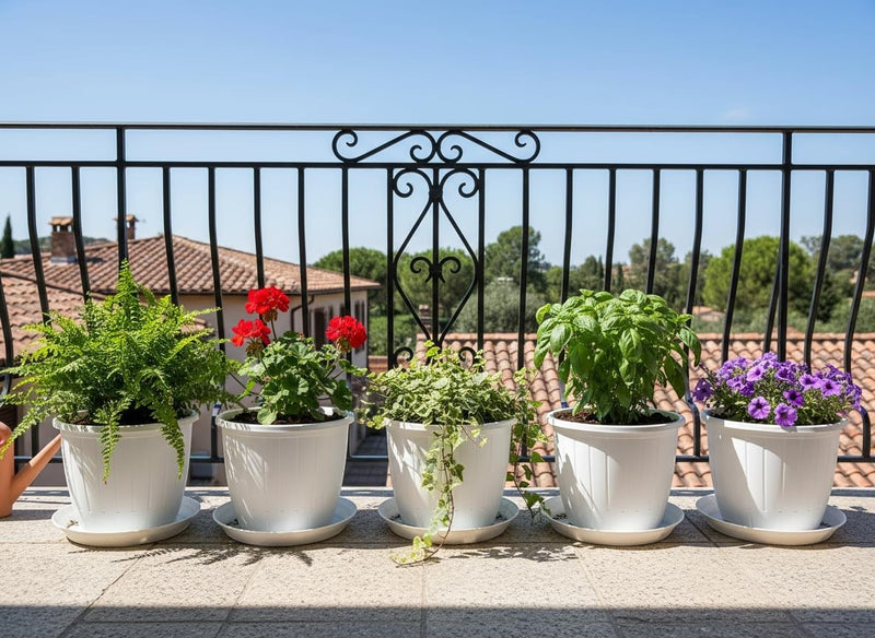 GoHooked white plastic planters with trays, featuring ferns, red geraniums, ivy, basil, and purple petunias on a balcony.