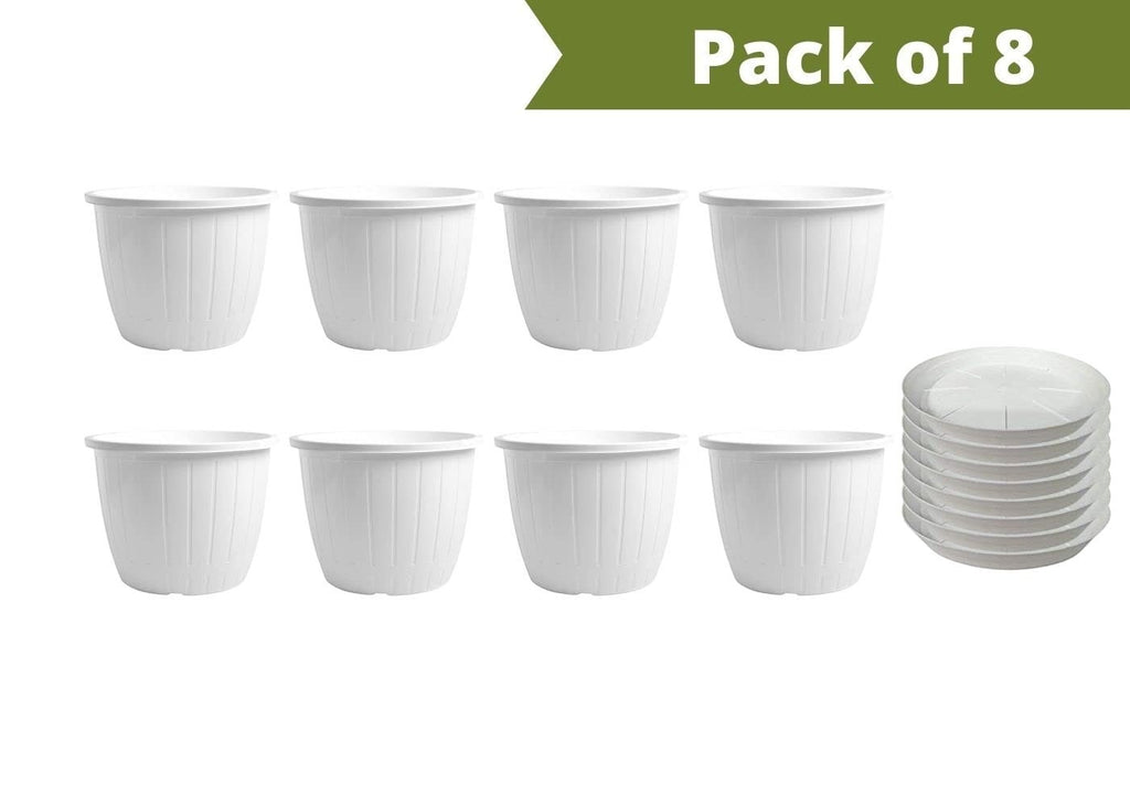 Go Hooked white plastic planters, 10-inch, pack of 8 with trays, for indoor/outdoor gardening.
