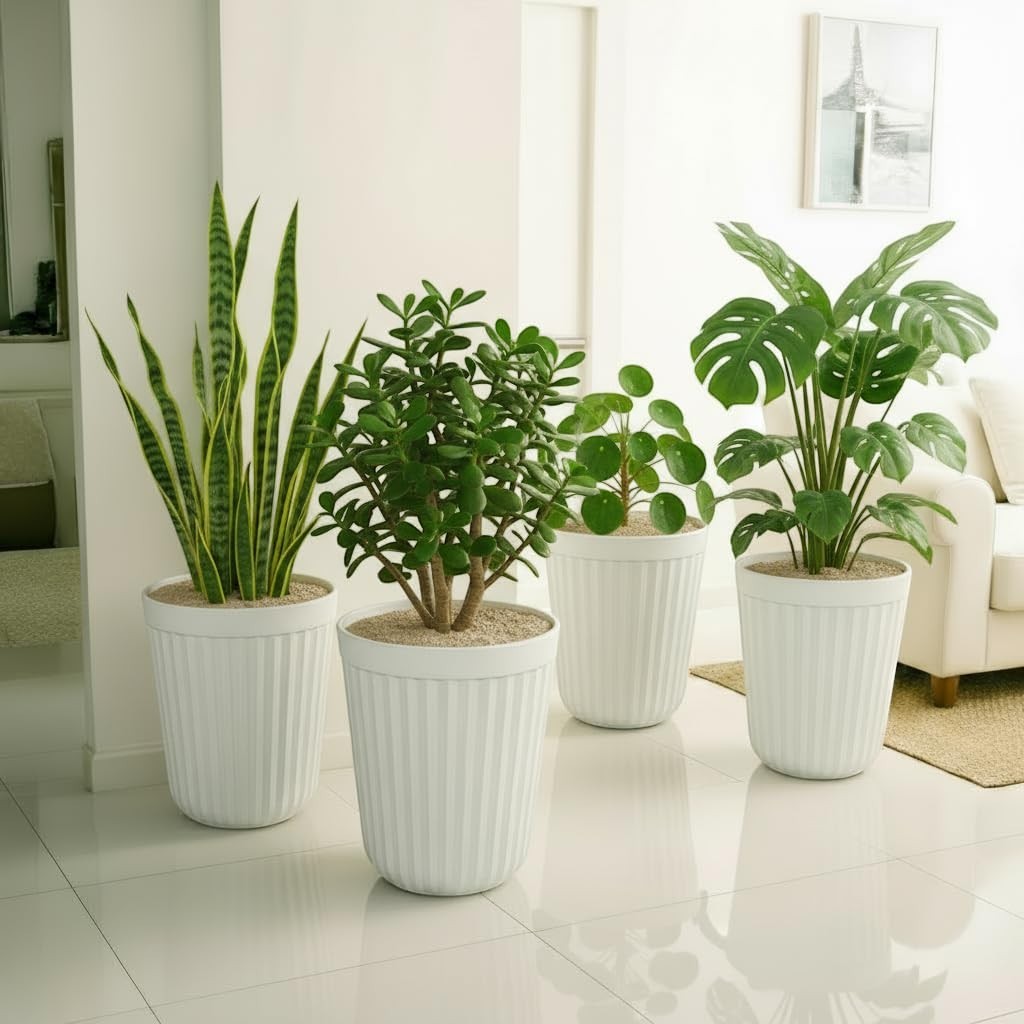 GoHooked white ribbed plastic planters with snake plant, jade plant, and monstera. Set of 3.