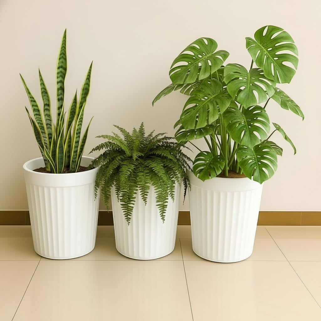 GoHooked set of 3 white ribbed plastic planters with snake plant, fern, and monstera.