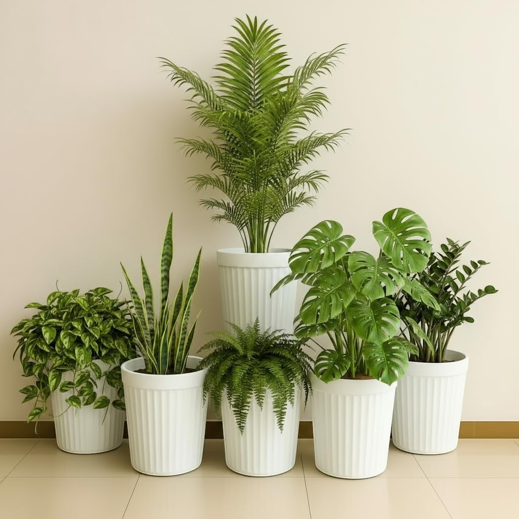 GoHooked set of 3 white ribbed plastic planters with various indoor plants like snake plant, monstera, and palm.