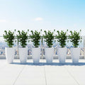 GoHooked white plastic planters with green plants on a balcony overlooking a city skyline.