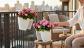 GoHooked white plastic railing planters (12 inch, set of 2) with pink hydrangeas on a balcony.