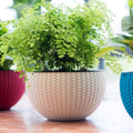 GoHooked white plastic rattan hanging planter with metal chain, 7.1 inch diameter, set of 5